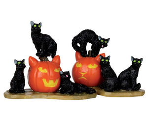 Six green eyed black cats hangout on and around two cat shaped jack-o'-lanterns.