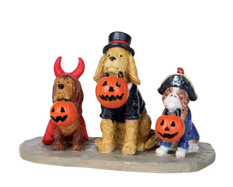 3 costume wearing dogs hold pumpkin trick-or-treat buckets in their mouths hoping to receive their next treat. One dog is dressed as the devil, another a magician and the final a pirate. 