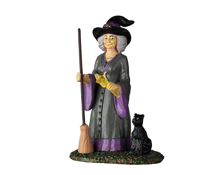 A witch dressed in purple and black stands next to her black cat sidekick.