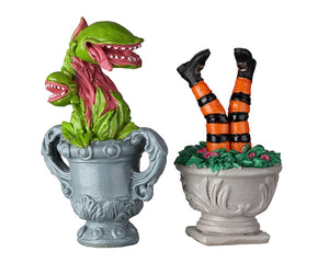 Two grey planters sit next to each other, one has carnivorous plants in it and the other has witch legs and feet sticking out.