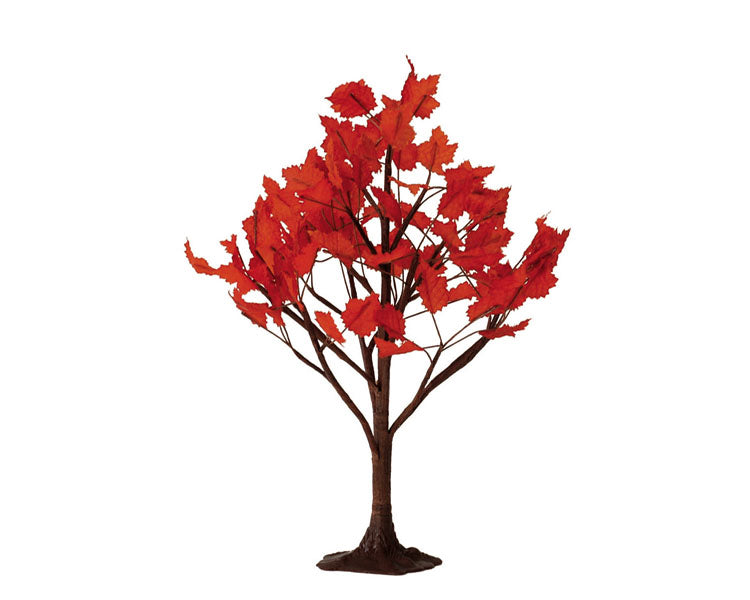 A spooky 9 inch maple tree with reddish orange leaves.