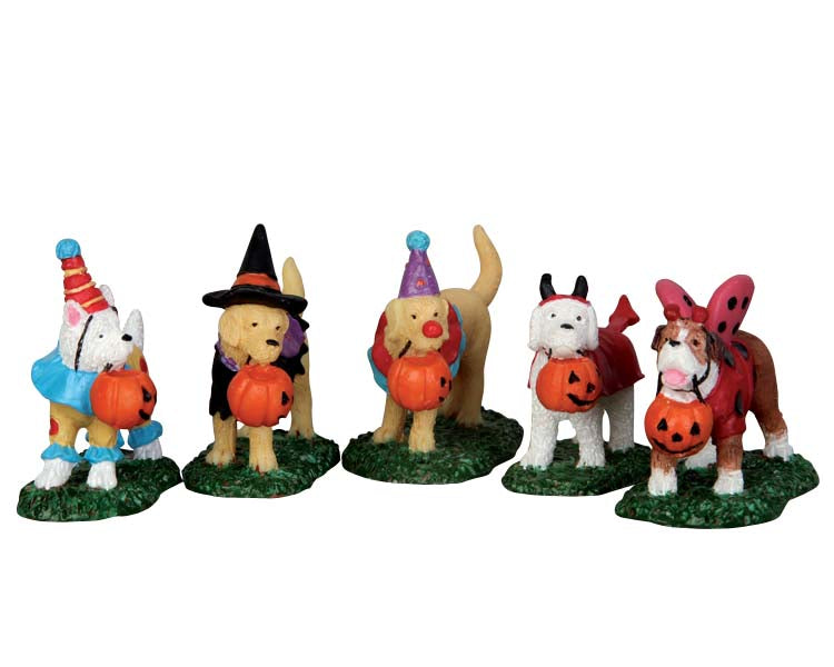 5 costume wearing puppies hold pumpkin trick-or-treat buckets in their mouths and wait for their next treat.